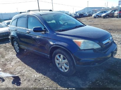 Photo HONDA cr-v ex-l.