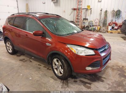 Photo FORD escape se.
