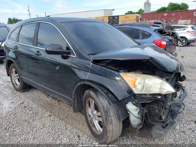 Photo HONDA cr-v ex-l.