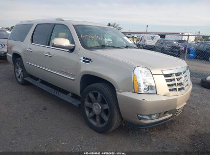 Photo CADILLAC escalade esv premium.