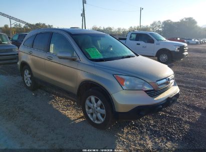 Photo HONDA cr-v ex-l.