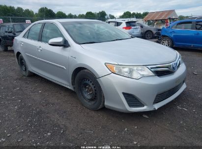 Photo TOYOTA camry hybrid le.
