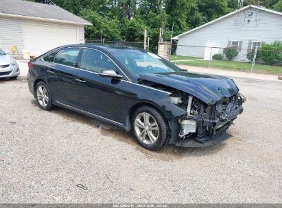 Photo HYUNDAI sonata sport.