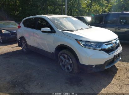 Photo HONDA cr-v ex-l/ex-l navi.