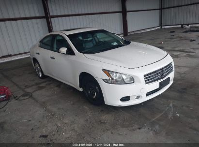 Photo NISSAN maxima 3.5 sv.