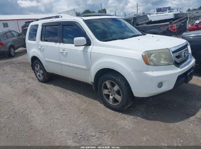 Photo HONDA pilot ex-l.