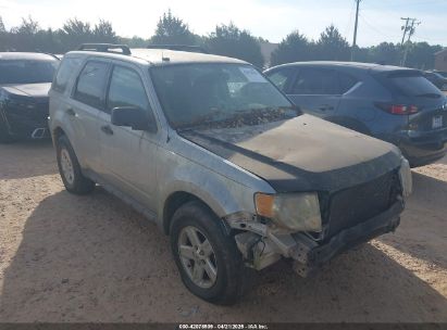 Photo FORD escape xlt.