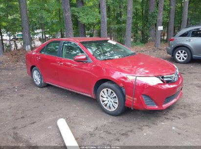 Photo TOYOTA camry le.