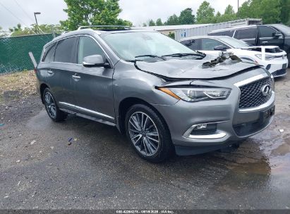 Photo INFINITI qx60 luxe.