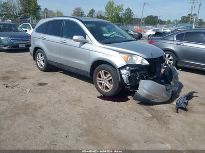 Photo HONDA cr-v ex-l.