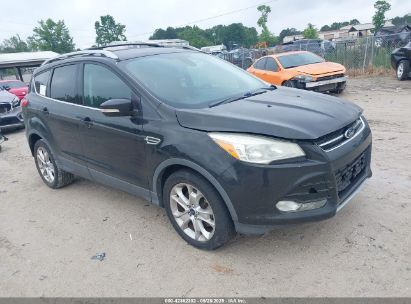 Photo FORD escape titanium.