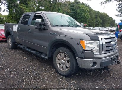 Photo FORD f-150 fx4/king ranch/lariat/platinum/xl/xlt.