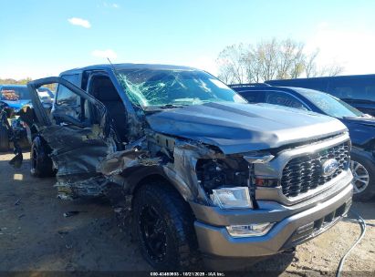 Photo FORD f-150 xl.