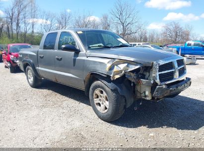 Photo DODGE dakota slt.