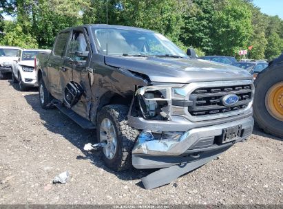 Photo FORD f-150 xlt.