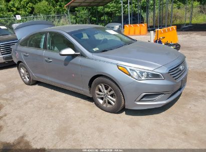 Photo HYUNDAI sonata  .