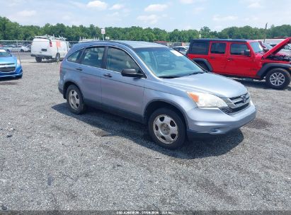 Photo HONDA cr-v lx.