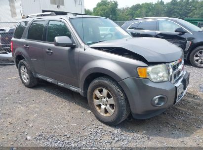 Photo FORD escape limited.