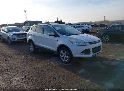 Photo FORD escape se.