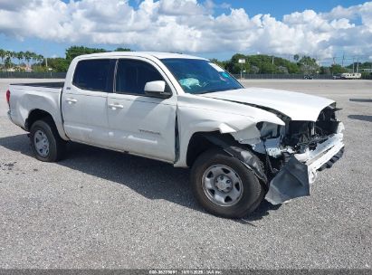 Photo TOYOTA tacoma sr5.