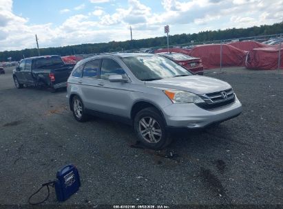 Photo HONDA cr-v ex-l.