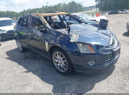 Photo CADILLAC srx performance collection.