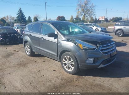Photo FORD escape se.