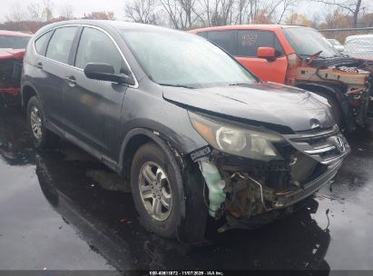 Photo HONDA cr-v lx.