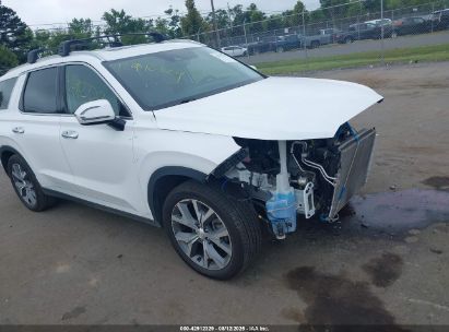 Photo HYUNDAI palisade sel.