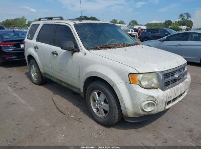 Photo FORD escape xlt.