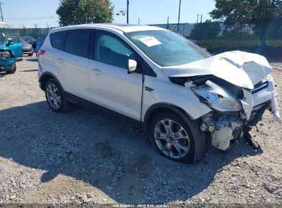 Photo FORD escape sel.