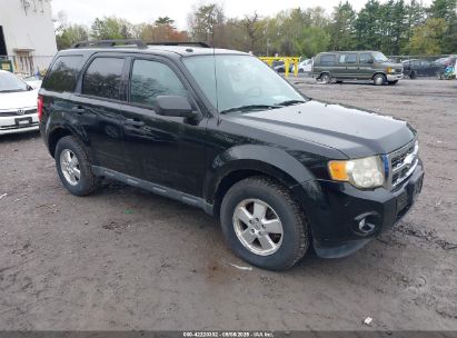 Photo FORD escape xlt.