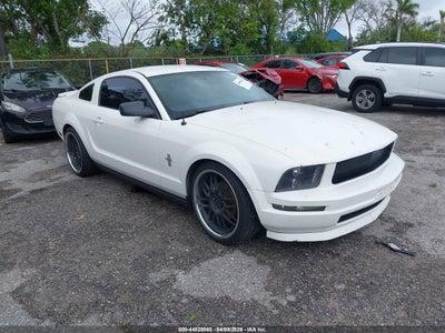 Photo FORD mustang v6 deluxe/v6 premium.