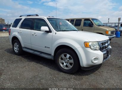 Photo FORD escape hybrid limited.