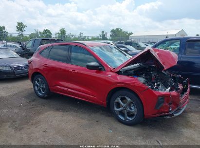 Photo FORD escape st-line.