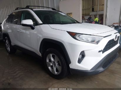 Photo TOYOTA rav4 xle.