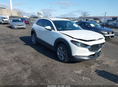 Photo MAZDA cx-30 preferred package.