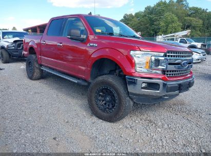 Photo FORD f-150 xlt.
