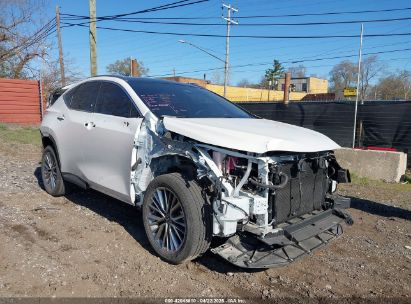 Photo LEXUS nx 350h luxury.