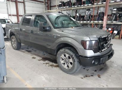 Photo FORD f-150 xlt.
