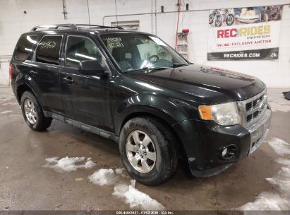 Photo FORD escape limited.