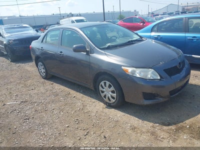 Photo TOYOTA corolla le.
