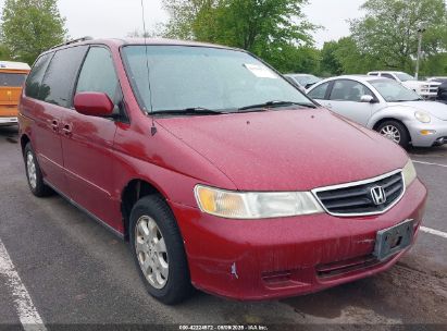 Photo HONDA odyssey ex-l.