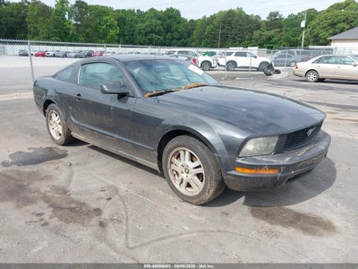 Photo FORD mustang v6 deluxe/v6 premium.
