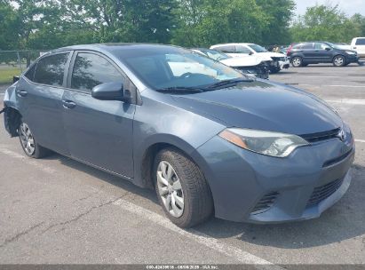 Photo TOYOTA corolla le.