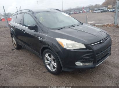 Photo FORD escape se.