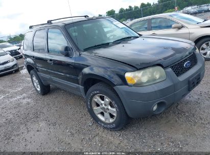 Photo FORD escape xlt/xlt sport.