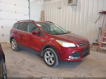Photo FORD escape se.