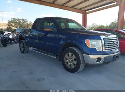Photo FORD f-150 xlt.