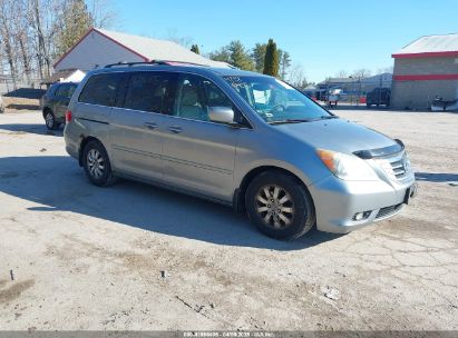 Photo HONDA odyssey ex-l.